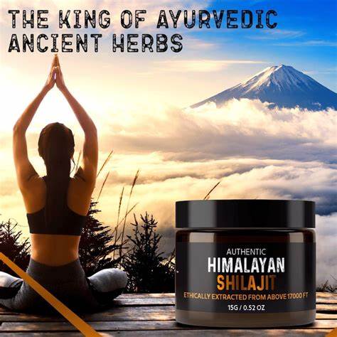 SHILAJIT ORIGINAL HIMALAYA